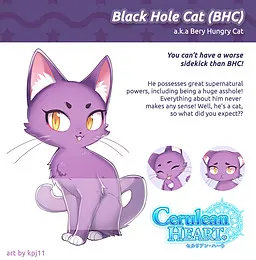 黑洞猫