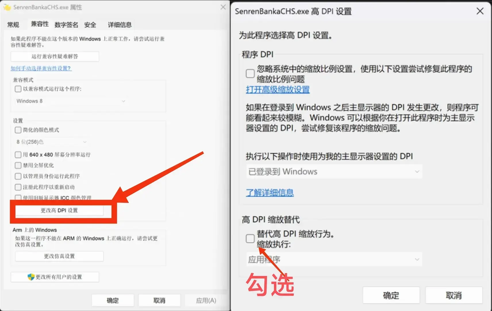 大伊兜子-1749005401267.webp