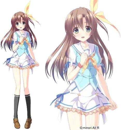 佐倉井 真響