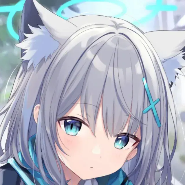 wsyong11