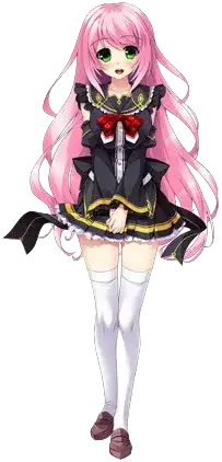 ガーベラ