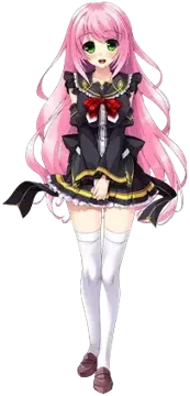 ガーベラ