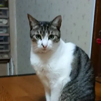 内藤騎之介