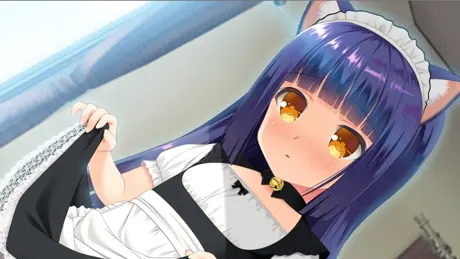 仔猫と家族計画
