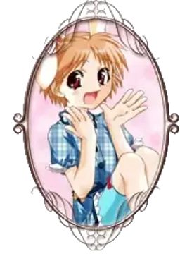 ミント・ハイビスカス
