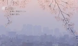 こよない