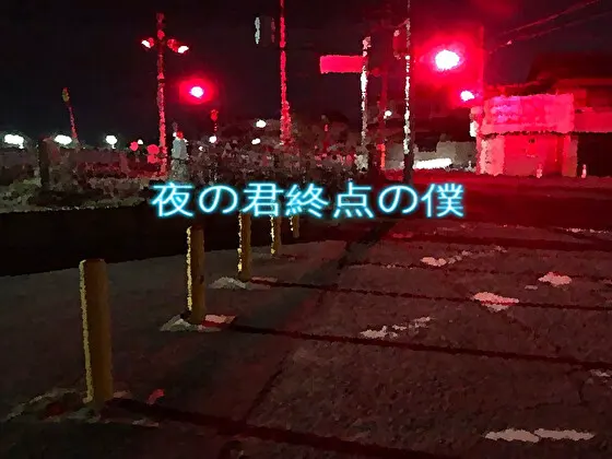 夜之你终点之我