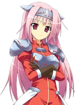 内藤 淡華
