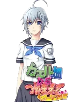 菅野 風羽