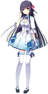 姫 絹花