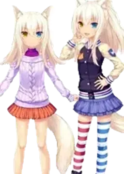 ココナツ