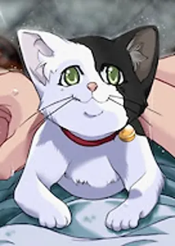 Inzo