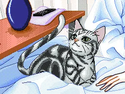 ノエル
