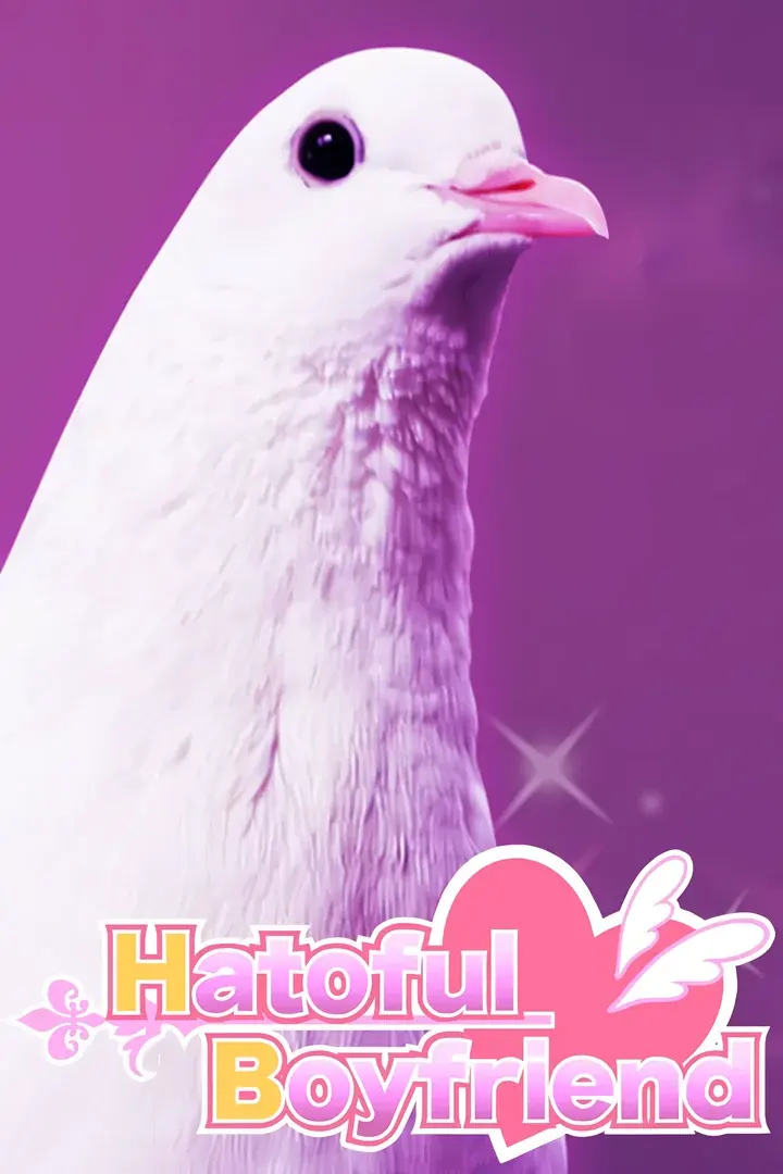 鸽子男友