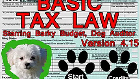 Basic Tax Law