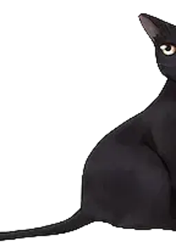 クロ
