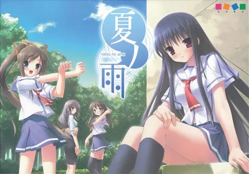 夏之雨