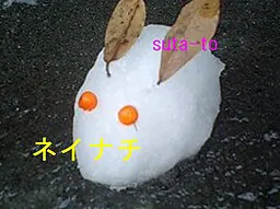 ネイナチ