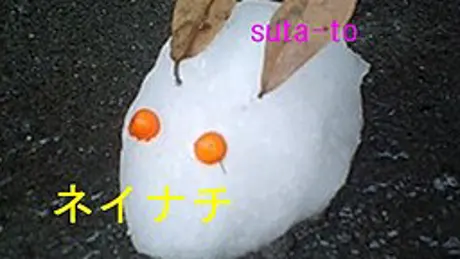 ネイナチ