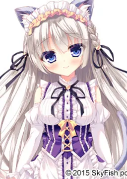 猫泊 真琴