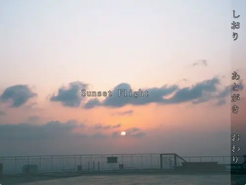 Sunset Flight