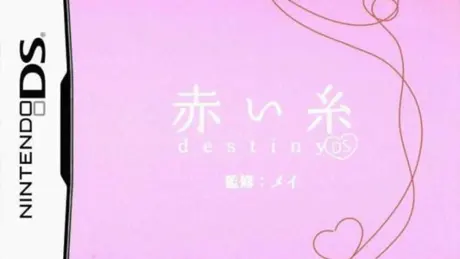 赤い糸 destiny DS