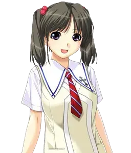 芹泽圆