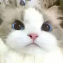OORR