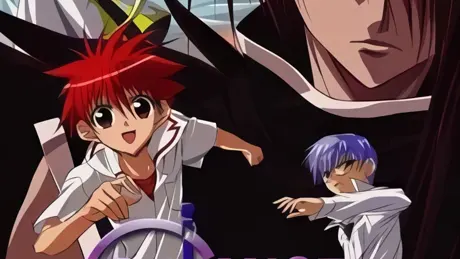 D・N・ANGEL TV Animation Series 〜紅の翼〜
