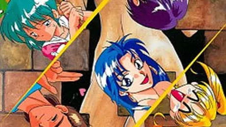エッチプラス