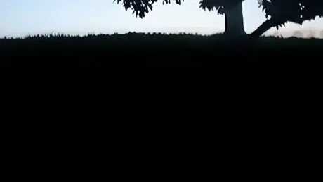 いっしょにあるこう。