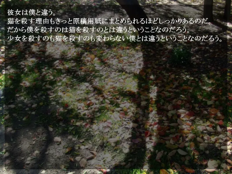 76cf5d86