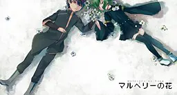 マルベリーの花