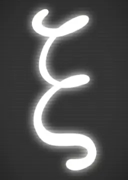 ξ