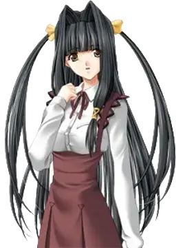 观咲司