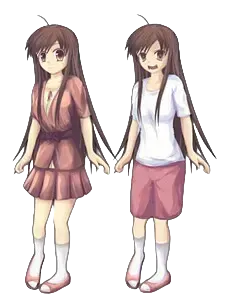 白樺 ひのき