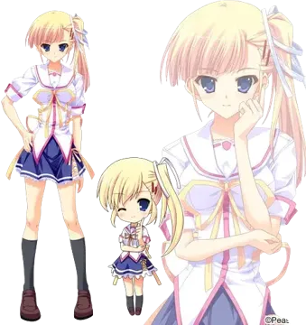 高阶夏美