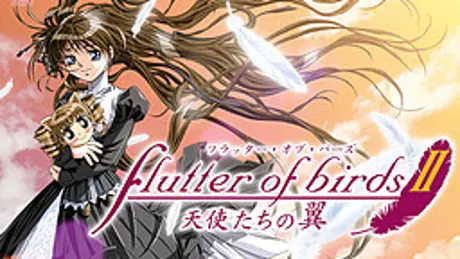 Series Banner 2