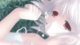 ホワイトクラリティ