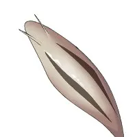 とらうま商事