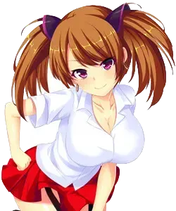 サイネリア