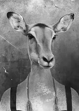 Deborah Ibanez