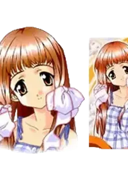 綾瀬 美樹
