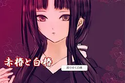 红椿与白椿