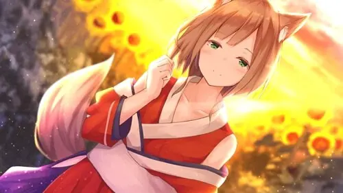 日廻り〜HIMAWARI〜