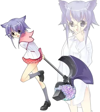 箍谷芙柘