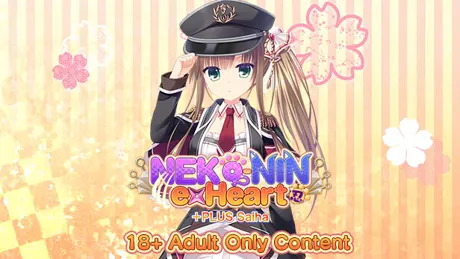 Series Banner 3