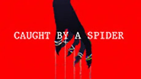 Caught by a Spider