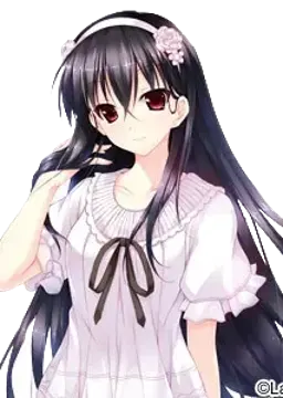 澳城 迪希