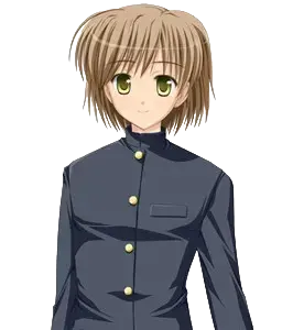 京本 葵